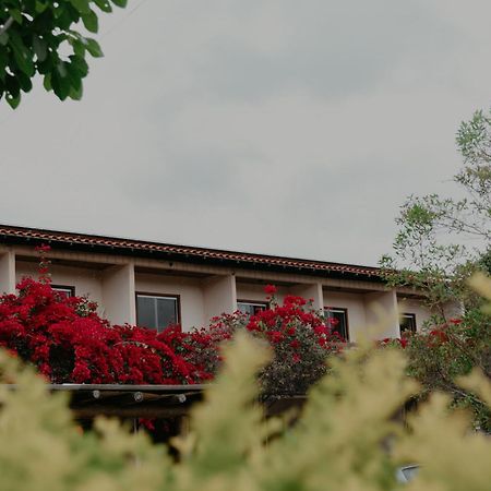 فندق Pousada Primavera Mucugê المظهر الخارجي الصورة