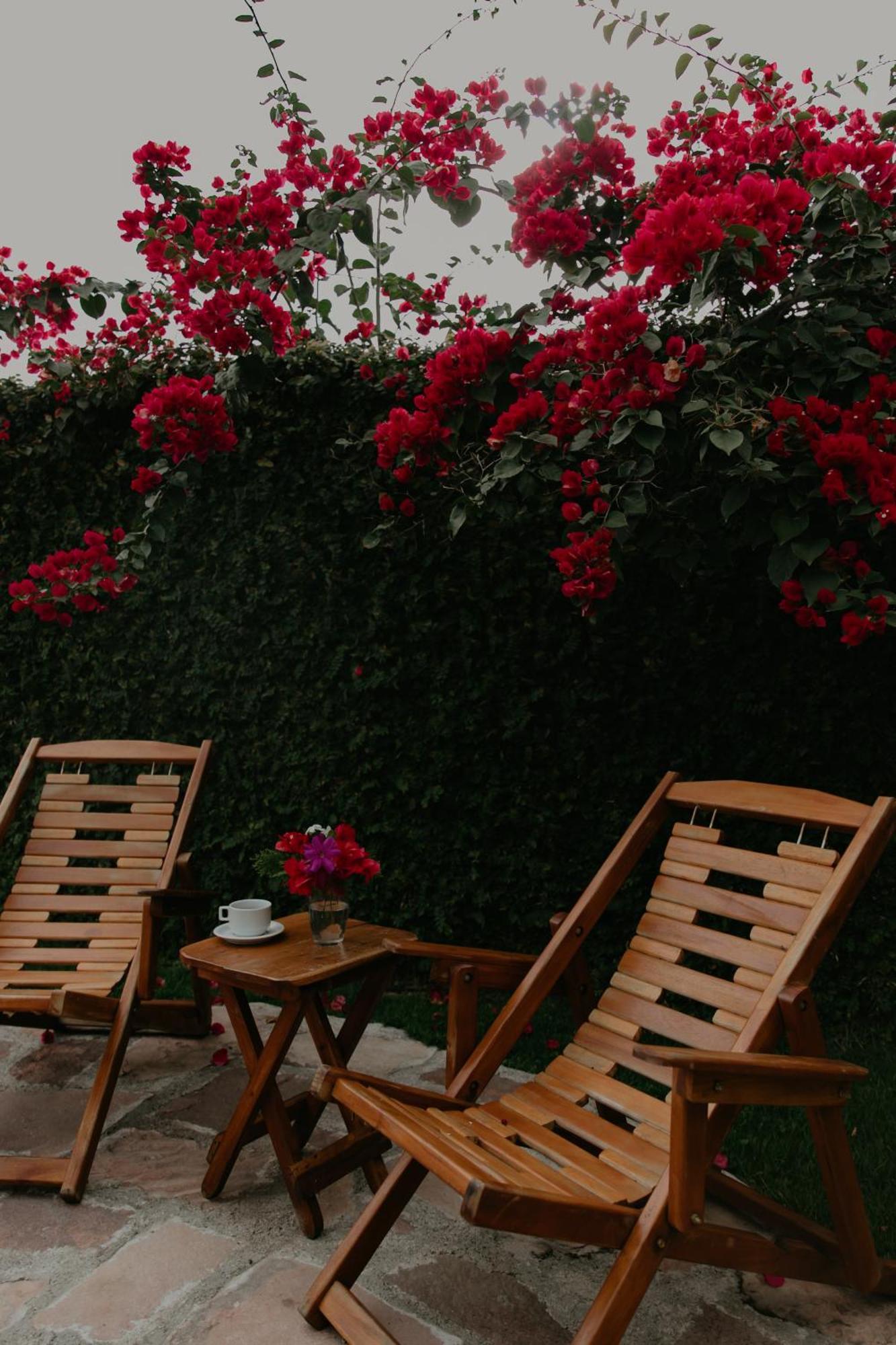 فندق Pousada Primavera Mucugê المظهر الخارجي الصورة