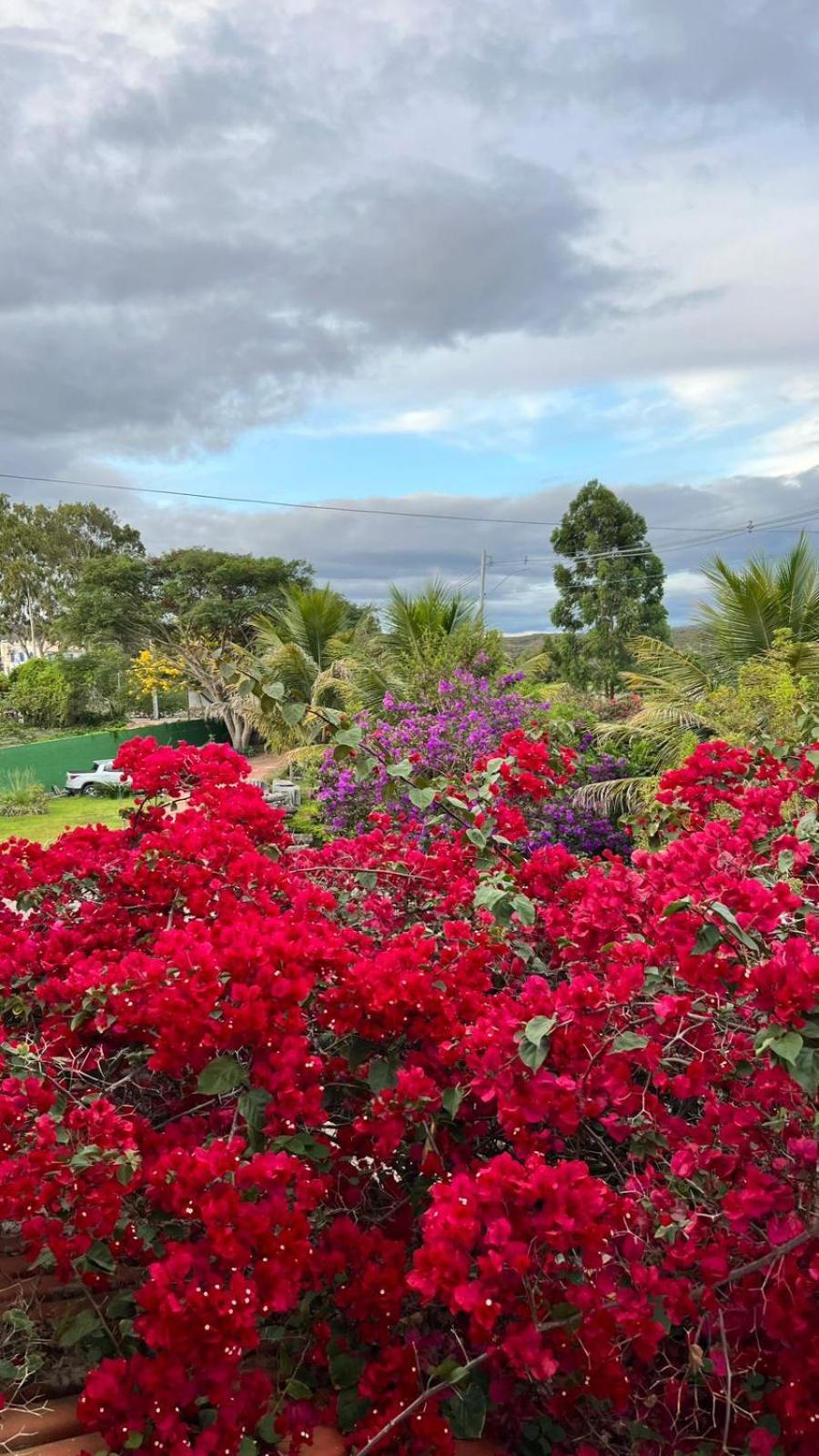 فندق Pousada Primavera Mucugê المظهر الخارجي الصورة