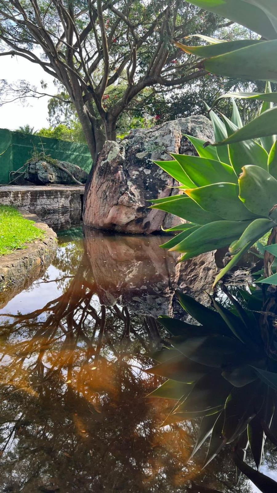 فندق Pousada Primavera Mucugê المظهر الخارجي الصورة